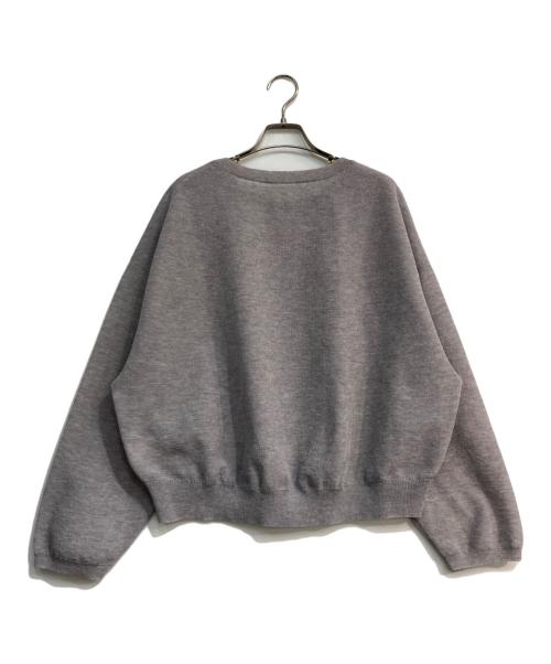 Noble（ノーブル）Noble (ノーブル) スポンジシアーニットプルオーバー グレー サイズ:Freeの古着・服飾アイテム