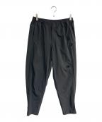 THE NORTH FACEザ ノース フェイス）の古着「マウンテンカラーパンツ　NB82210」｜グレー