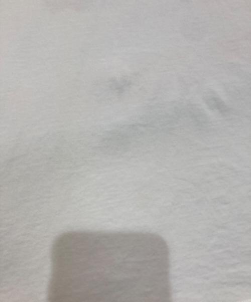 MARNI（マルニ）MARNI (マルニ) ダメージ加工ドッキングカットソー　　HUMU0252QX ホワイト×ブルー サイズ:48の古着・服飾アイテム