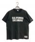 Champion（チャンピオン）の古着「別注プリントTシャツ」｜グレー