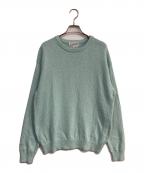 FOLLフォル）の古着「ピリングスラブコットンニット  UNFOLLOW　24080684000210」｜ブルー