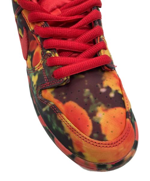 NIKE SB（ナイキエスビー）NIKE SB (ナイキエスビー) The Wizard of Oz (オズノ魔法使イ) Dunk Low 