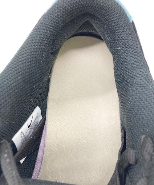NIKE SB（ナイキエスビー）NIKE SB (ナイキエスビー) HAYLEY WILSON (ヘイリーウィルソン) DUNK LOW PRO QS パープル サイズ:25.5㎝の古着・服飾アイテム