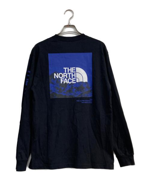 THE NORTH FACE（ザ ノース フェイス）THE NORTH FACE (ザ ノース フェイス) 長袖カットソー ブラック サイズ:Mの古着・服飾アイテム