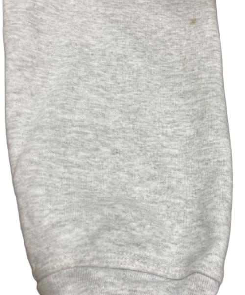 stussy（ステューシー）stussy (ステューシー) DIZZY STOCK HOODIE グレー サイズ:Lの古着・服飾アイテム