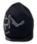 ARC'TERYX (アークテリクス) Bird Head Toque ブラック：10000円