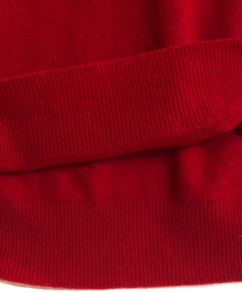 ROBERTO COLLINA（ロベルトコリーナ）ROBERTO COLLINA (ロベルトコリーナ) Vネックウールニット レッド サイズ:50の古着・服飾アイテム