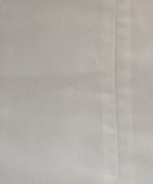 JILL STUART（ジルスチュアート）JILL STUART (ジルスチュアート) プリーツラッフルドレス ホワイト サイズ:2の古着・服飾アイテム