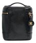 CHANEL (シャネル) キャビアスキンバニティバッグ：129000円