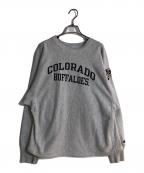 Championチャンピオン）の古着「刺繍タグ リバースウィーブスウェット」｜グレー