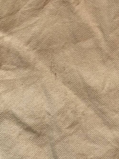 AURALEE（オーラリー）AURALEE (オーラリー) WASHI DUCK CANVAS HALF SLEEVED SHIRT/ワシ ダック キャンバス 半袖シャツ ベージュ サイズ:3の古着・服飾アイテム