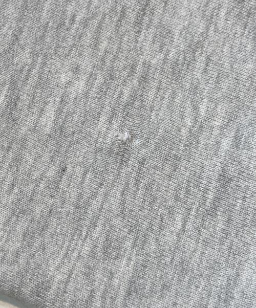 Champion REVERSE WEAVE（チャンピオン リバース ウィーブ）Champion REVERSE WEAVE (チャンピオン リバース ウィーブ) スウェット グレー サイズ:Lの古着・服飾アイテム