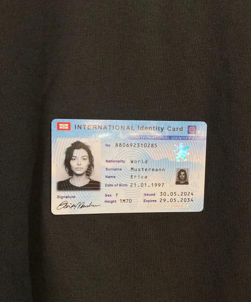 BALENCIAGA（バレンシアガ）BALENCIAGA (バレンシアガ) ID Card T-Shirt カードデザインTシャツ ブラック サイズ:Lの古着・服飾アイテム