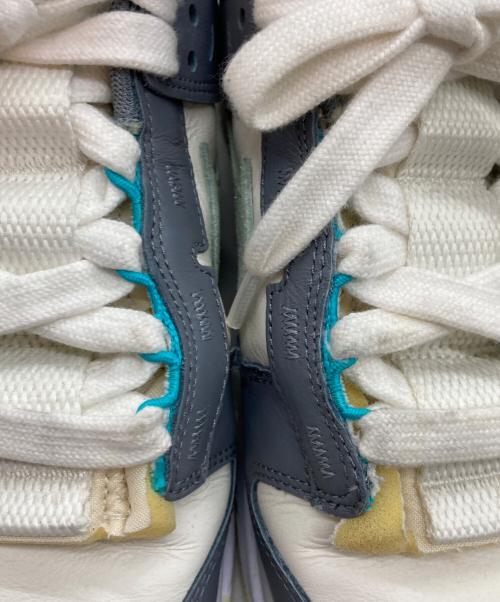 NIKE（ナイキ）NIKE (ナイキ) ローカットスニーカー グレー サイズ:27の古着・服飾アイテム