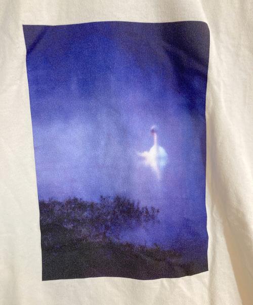 Noah（ノア）Noah (ノア) Barbour (バブアー) Archive Swan tee（アーカイブスワンＴシャツ） ベージュ サイズ:ｌの古着・服飾アイテム