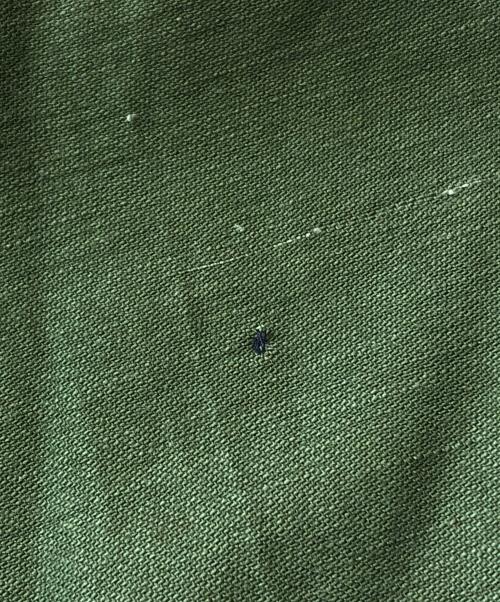 US ARMY（ユーエスアーミー）US ARMY (ユーエスアーミー) コットンサテンファティーグパンツ グリーン サイズ:Mの古着・服飾アイテム