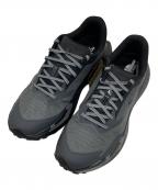 THE NORTH FACEザ ノース フェイス）の古着「VECTIV Enduris 4」｜ブラック