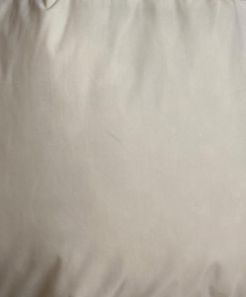 THE NORTH FACE（ザ ノース フェイス）THE NORTH FACE (ザ ノース フェイス) M'S OPUS RDS DOWN JACKET アイボリー サイズ:S（90）の古着・服飾アイテム