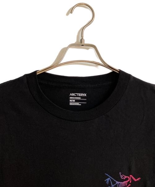 ARC'TERYX（アークテリクス）ARC'TERYX (アークテリクス) Kragg Cotton Logo SS/クラッグコットンロゴ ブラック サイズ:Mの古着・服飾アイテム