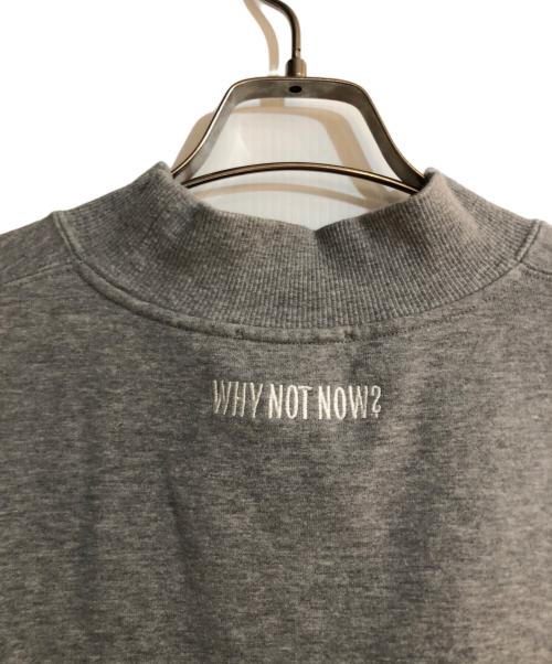 CHAOS（カオス）CHAOS (カオス) why not now? リノスモックプルオーバー グレー サイズ:FREEの古着・服飾アイテム