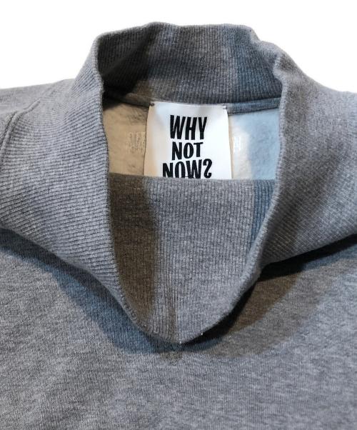 CHAOS（カオス）CHAOS (カオス) why not now? リノスモックプルオーバー グレー サイズ:FREEの古着・服飾アイテム