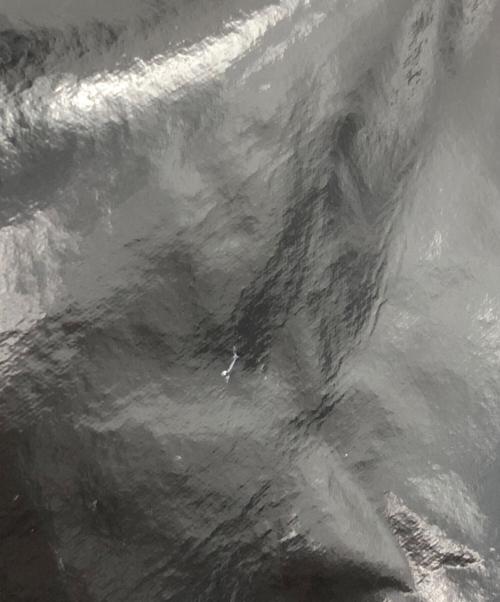 CHANEL（シャネル）CHANEL (シャネル) ココマークパテントチェーンショルダーバッグ ブラックの古着・服飾アイテム