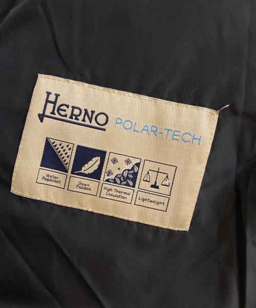 HERNO（ヘルノ）HERNO (ヘルノ) グースダウンジャケット ブラック サイズ:42の古着・服飾アイテム