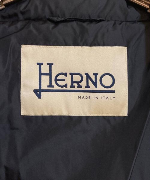 HERNO（ヘルノ）HERNO (ヘルノ) グースダウンジャケット ブラック サイズ:42の古着・服飾アイテム