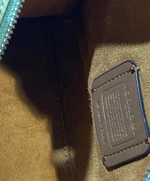 COACH（コーチ）COACH (コーチ) アンドレア ミニ キャリーオール グリーンの古着・服飾アイテム