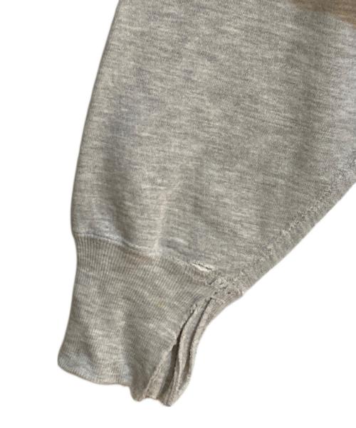 Champion（チャンピオン）Champion (チャンピオン) リバースウィーブパーカー グレー サイズ:Ｌの古着・服飾アイテム