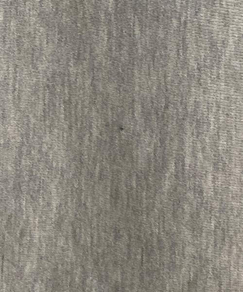 Champion（チャンピオン）Champion (チャンピオン) リバースウィーブパーカー グレー サイズ:Ｌの古着・服飾アイテム