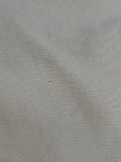 POLO RALPH LAUREN（ポロ・ラルフローレン）POLO RALPH LAUREN (ポロ・ラルフローレン) THE BIG SHIRT/ビッグシャツ ホワイト サイズ:Mの古着・服飾アイテム