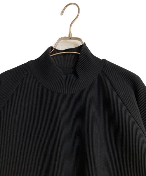 stein（シュタイン）stein (シュタイン) OVERSIZED GRADATION PLEATS LS ブラック サイズ:Sの古着・服飾アイテム