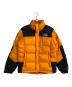 THE NORTH FACE（ザ ノース フェイス）の古着「SUMMIT SERIES 700FILL/サミット シリーズ セブンハンドレッド フィル」｜オレンジ