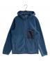 Patagonia（パタゴニア）の古着「マイクロディニーフーディー」｜ブルー
