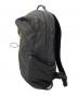 ARC'TERYX (アークテリクス) マンティス 16 バックパック ブラック：14000円