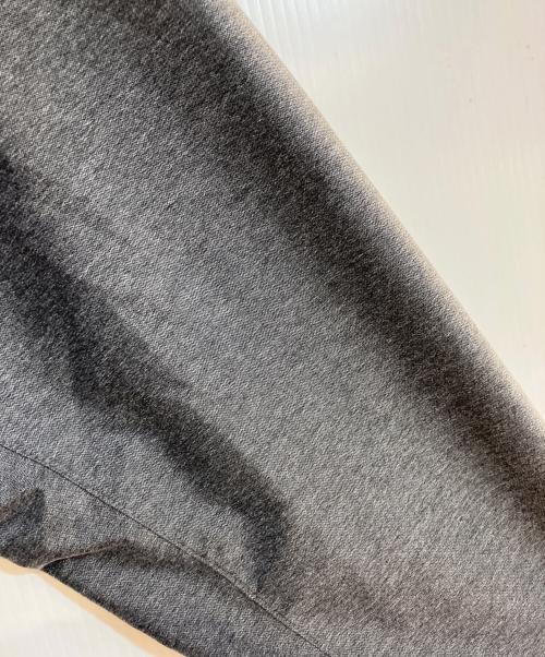 THE NORTH FACE（ザ ノース フェイス）THE NORTH FACE (ザ ノース フェイス) ノベルティゼウストリクライメイトジャケット グレー サイズ:Ｌの古着・服飾アイテム