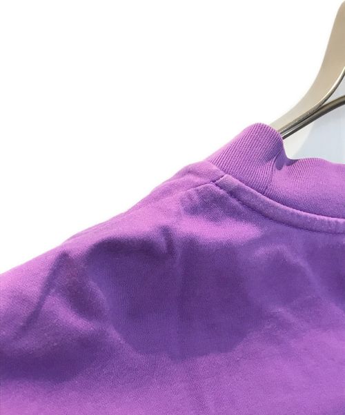 TATRAS（タトラス）TATRAS (タトラス) ロングスリーブカットソー パープル サイズ:04の古着・服飾アイテム