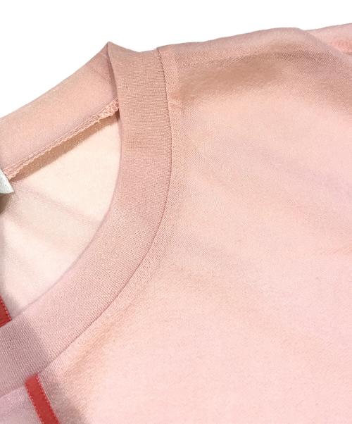 CLANE（クラネ）CLANE (クラネ) LINE SHEER L/S TOPS　12105-1102 ピンク サイズ:FREEの古着・服飾アイテム