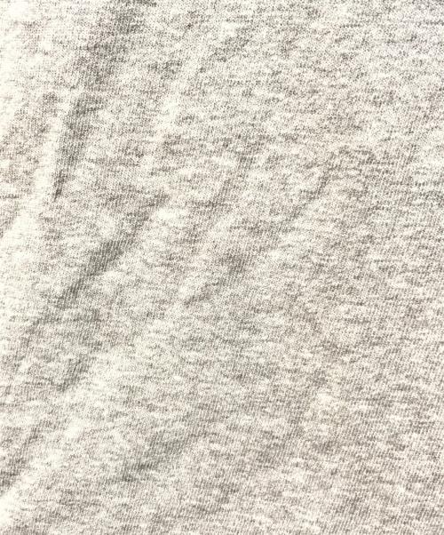 hysterics（ヒステリックス）hysterics (ヒステリックス) カットソー　2CL-5840 グレー×パープル サイズ:FREEの古着・服飾アイテム