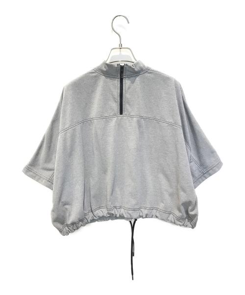 HIROKO KOSHINO TRUNK（ヒロココシノ トランク）HIROKO KOSHINO TRUNK (ヒロココシノ トランク) TRYCOOLクロップド丈プルオーバー　RSKIW-31370 グレー サイズ:38の古着・服飾アイテム