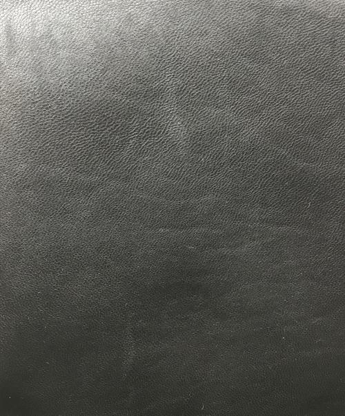 COACH（コーチ）COACH (コーチ) ハラコフラワーショルダーバッグ パープルの古着・服飾アイテム