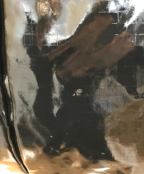 LeSportsac（レスポートサック）LeSportsac (レスポートサック) トラベル2WAYショルダーバッグ ブラックの古着・服飾アイテム