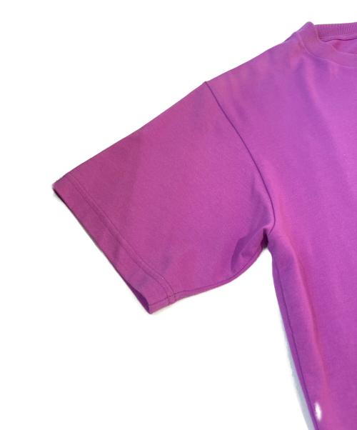 THE NORTH FACE（ザ ノース フェイス）THE NORTH FACE (ザ ノース フェイス) Tシャツ　NT32458 パープル サイズ:Lの古着・服飾アイテム