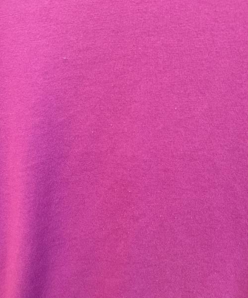 THE NORTH FACE（ザ ノース フェイス）THE NORTH FACE (ザ ノース フェイス) Tシャツ　NT32458 パープル サイズ:Lの古着・服飾アイテム