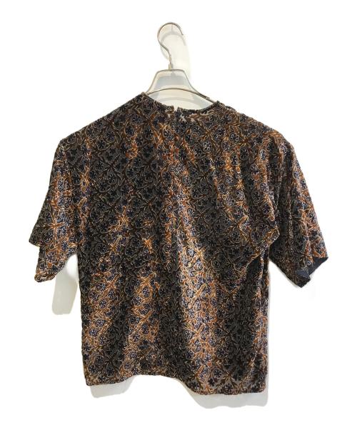 BACCA（バッカ）BACCA (バッカ) オパール加工 ベルベット シースルー　35-01-15-01305 ブラウン サイズ:SIZE 36の古着・服飾アイテム