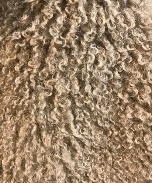 vivapresto（ビバプレスト）vivapresto (ビバプレスト) フェイクファーベスト ベージュ サイズ:Ｍ 未使用品の古着・服飾アイテム