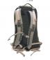 ARC'TERYX (アークテリクス) ARRO 22 BACKPACK　461852 グレー：12000円