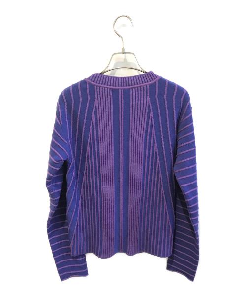HIROKO KOSHINO（ヒロコ コシノ）HIROKO KOSHINO (ヒロコ コシノ) 立体ストライプニットプルオーバー　RHFAF11430 ブルー サイズ:38の古着・服飾アイテム