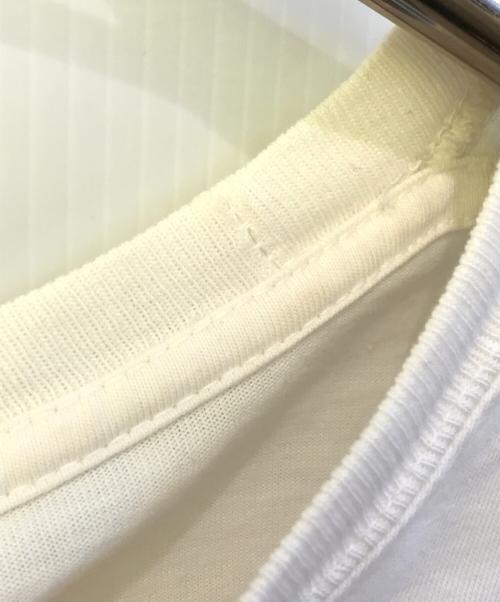 stussy（ステューシー）stussy (ステューシー) Beach mob pig dyed Tee ホワイト サイズ:Ｍの古着・服飾アイテム